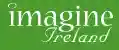 imagineireland.com